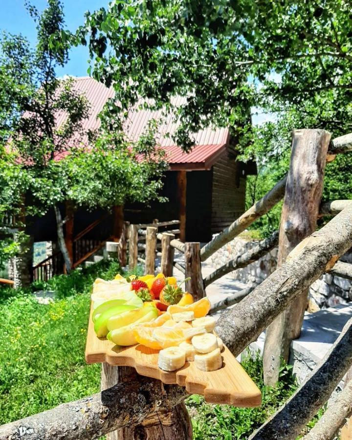 Fern Farm Eco Resort Mojkovac Exteriér fotografie