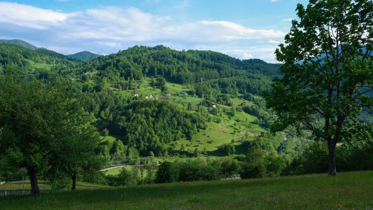 Fern Farm Eco Resort Mojkovac Exteriér fotografie
