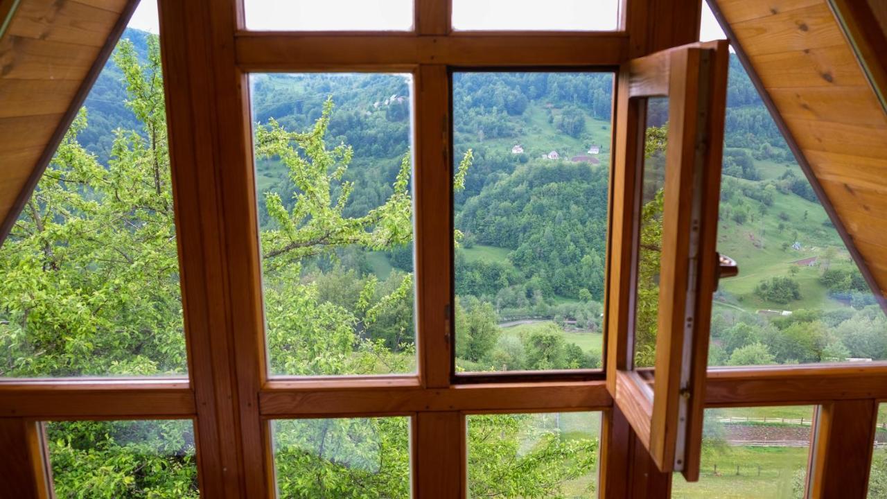 Fern Farm Eco Resort Mojkovac Exteriér fotografie