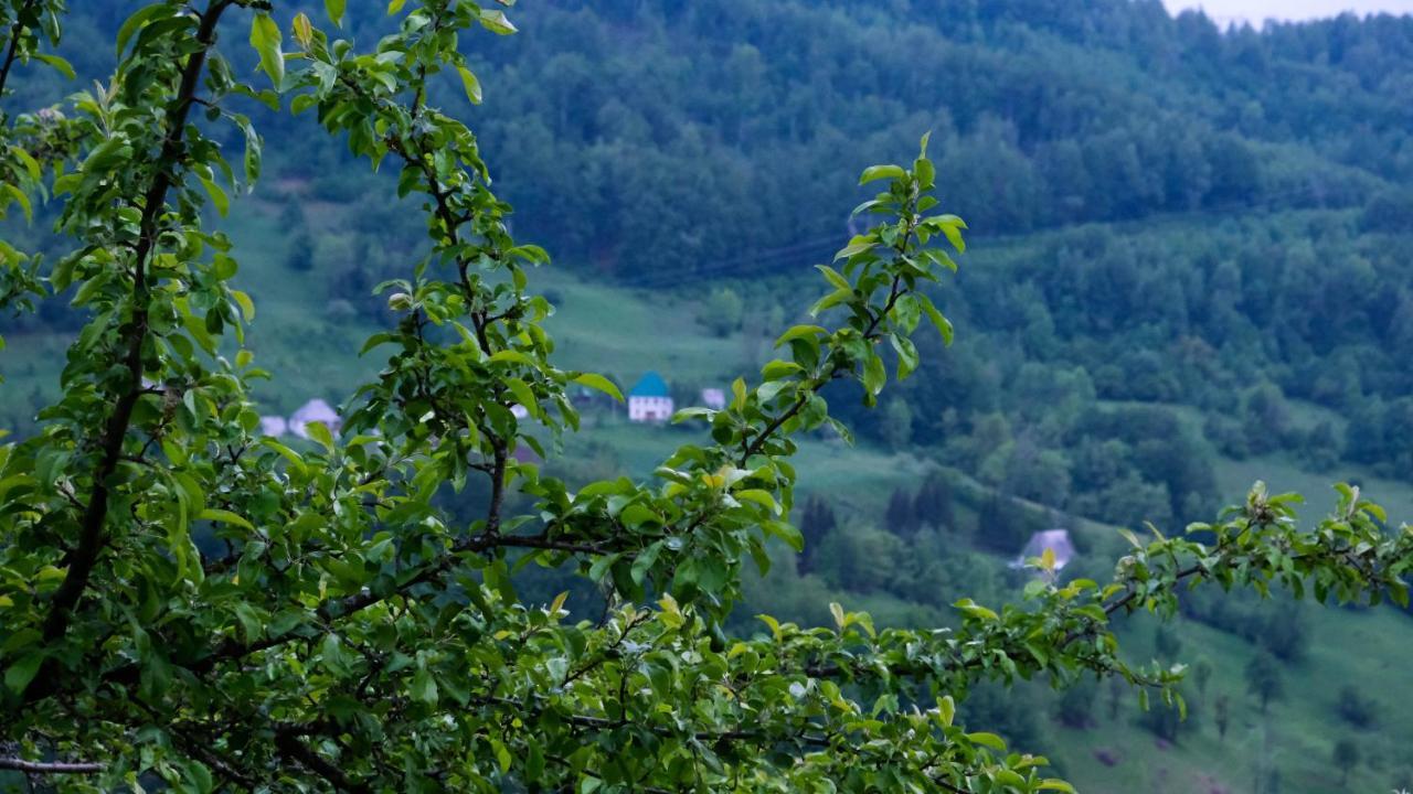 Fern Farm Eco Resort Mojkovac Exteriér fotografie