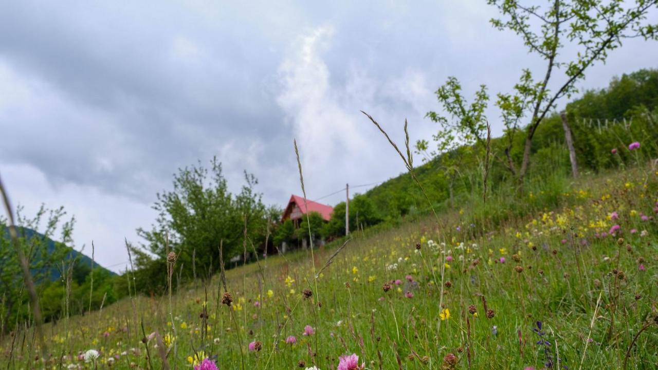 Fern Farm Eco Resort Mojkovac Exteriér fotografie