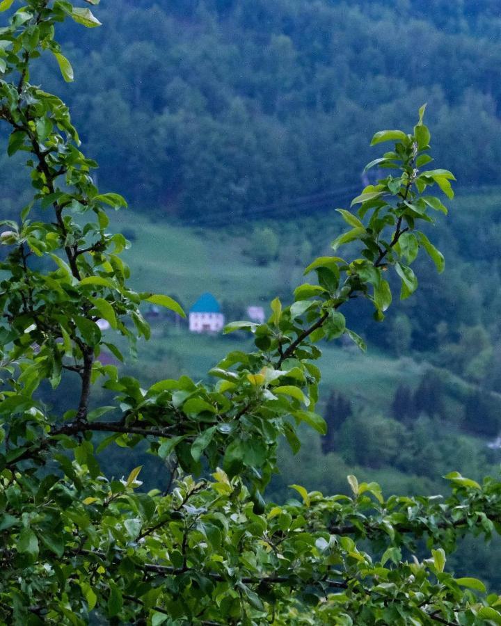 Fern Farm Eco Resort Mojkovac Exteriér fotografie