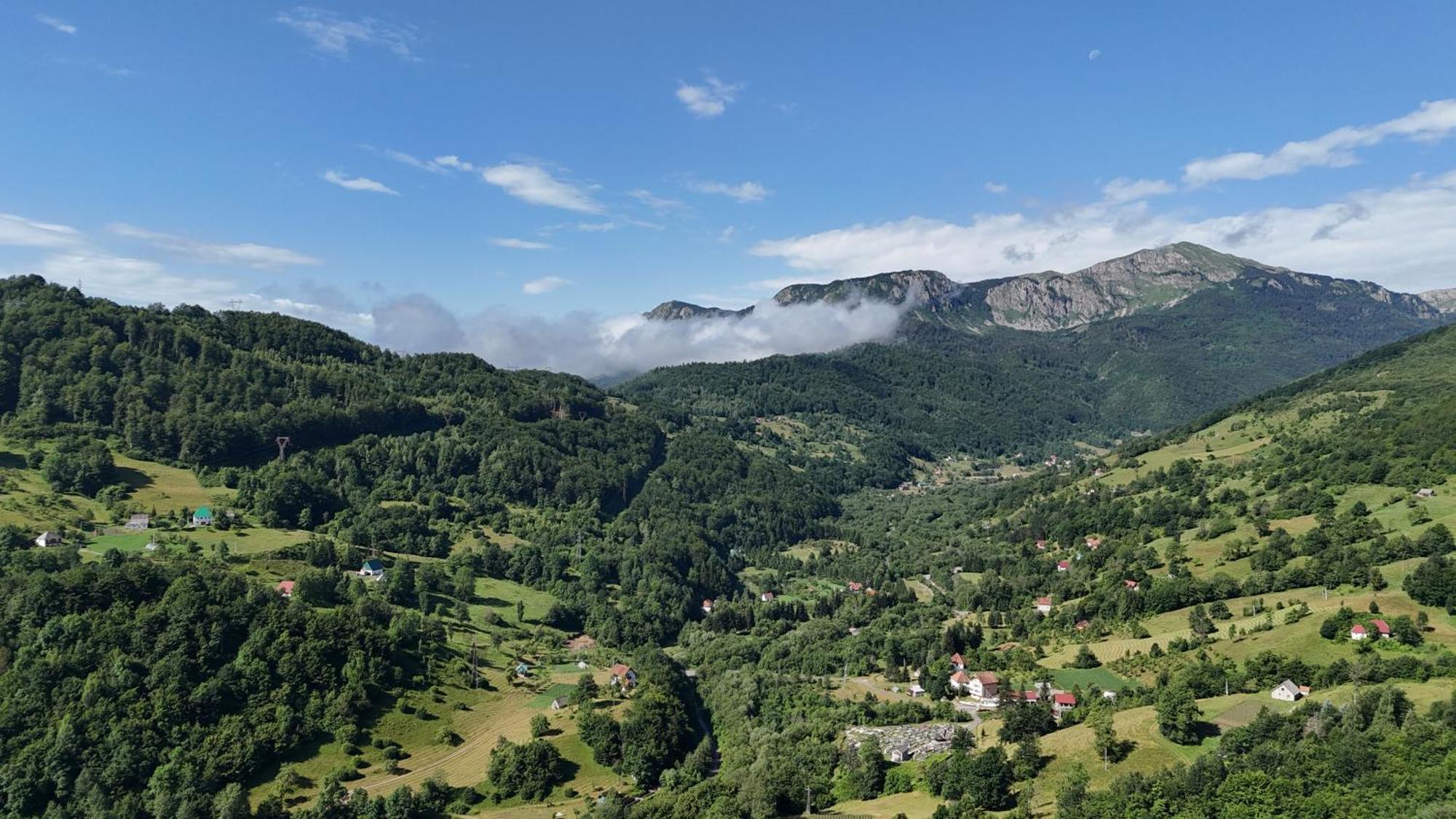 Fern Farm Eco Resort Mojkovac Exteriér fotografie