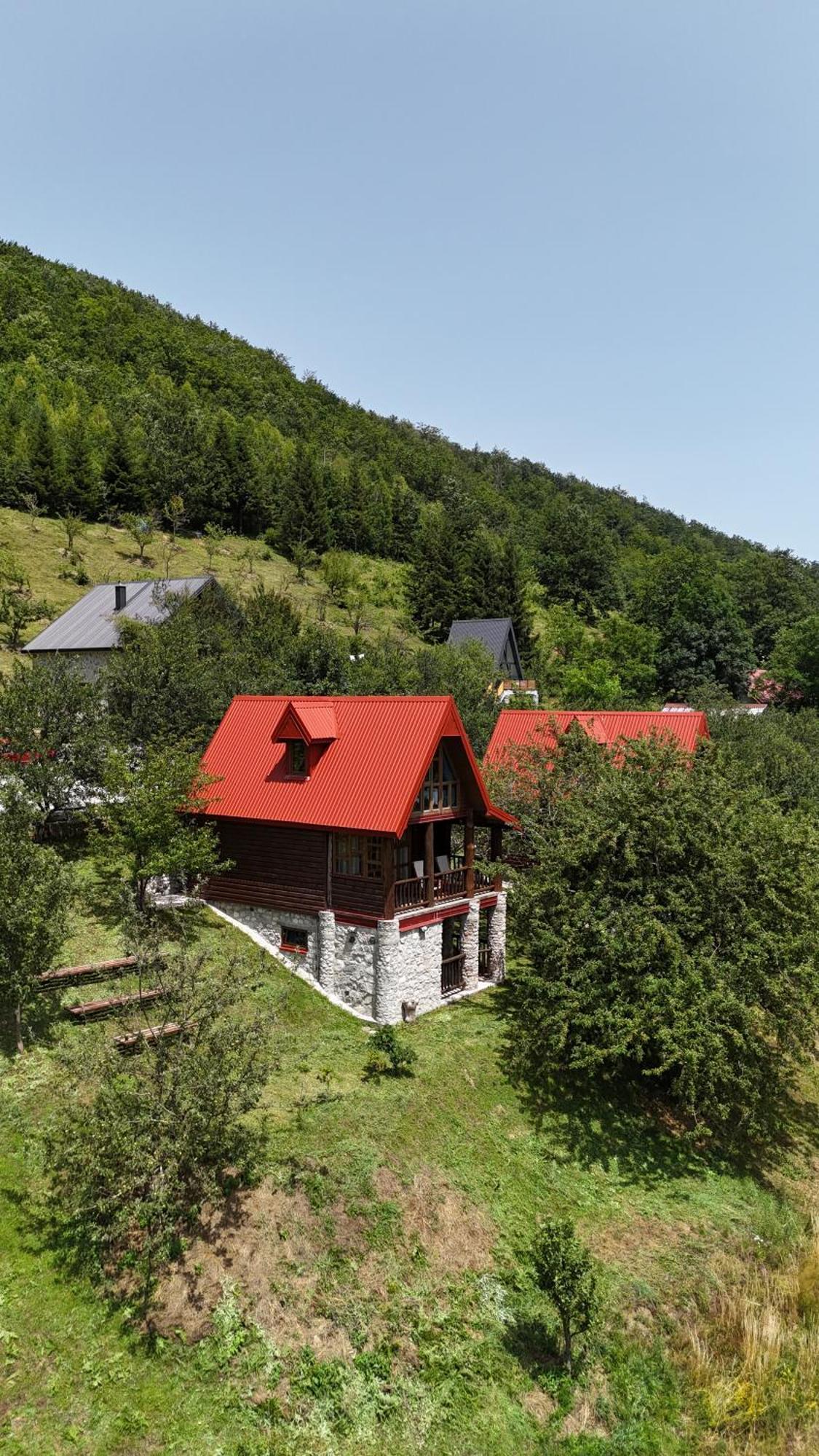 Fern Farm Eco Resort Mojkovac Exteriér fotografie
