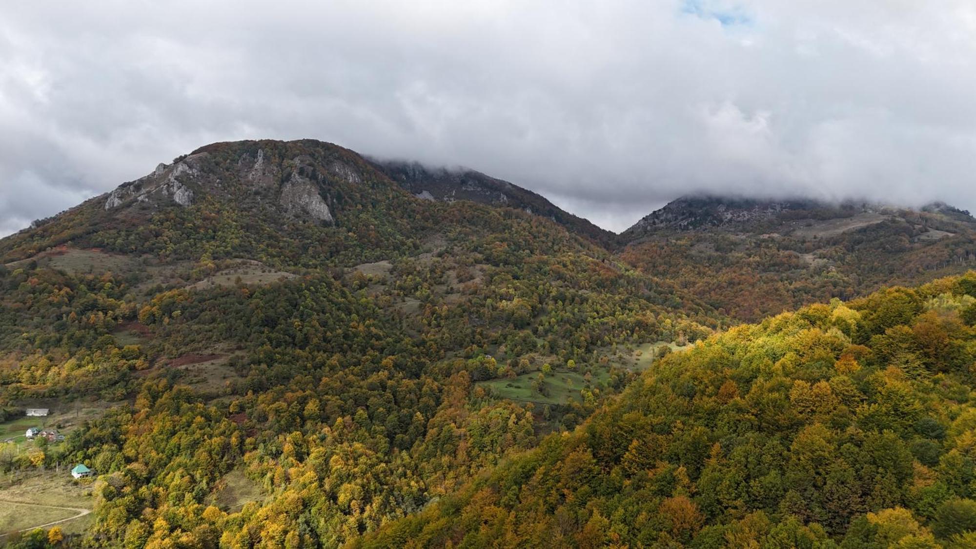 Fern Farm Eco Resort Mojkovac Exteriér fotografie