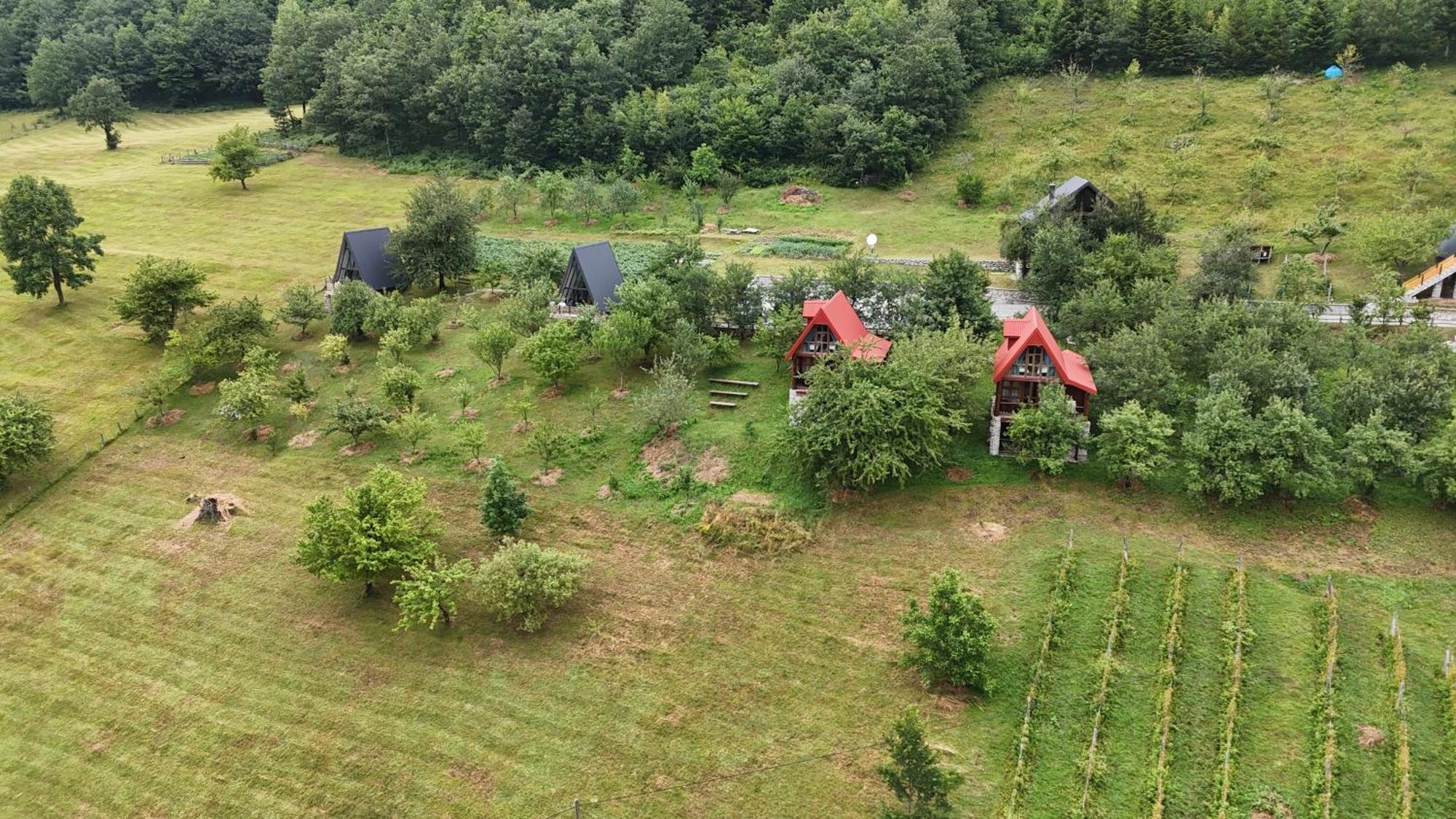 Fern Farm Eco Resort Mojkovac Exteriér fotografie