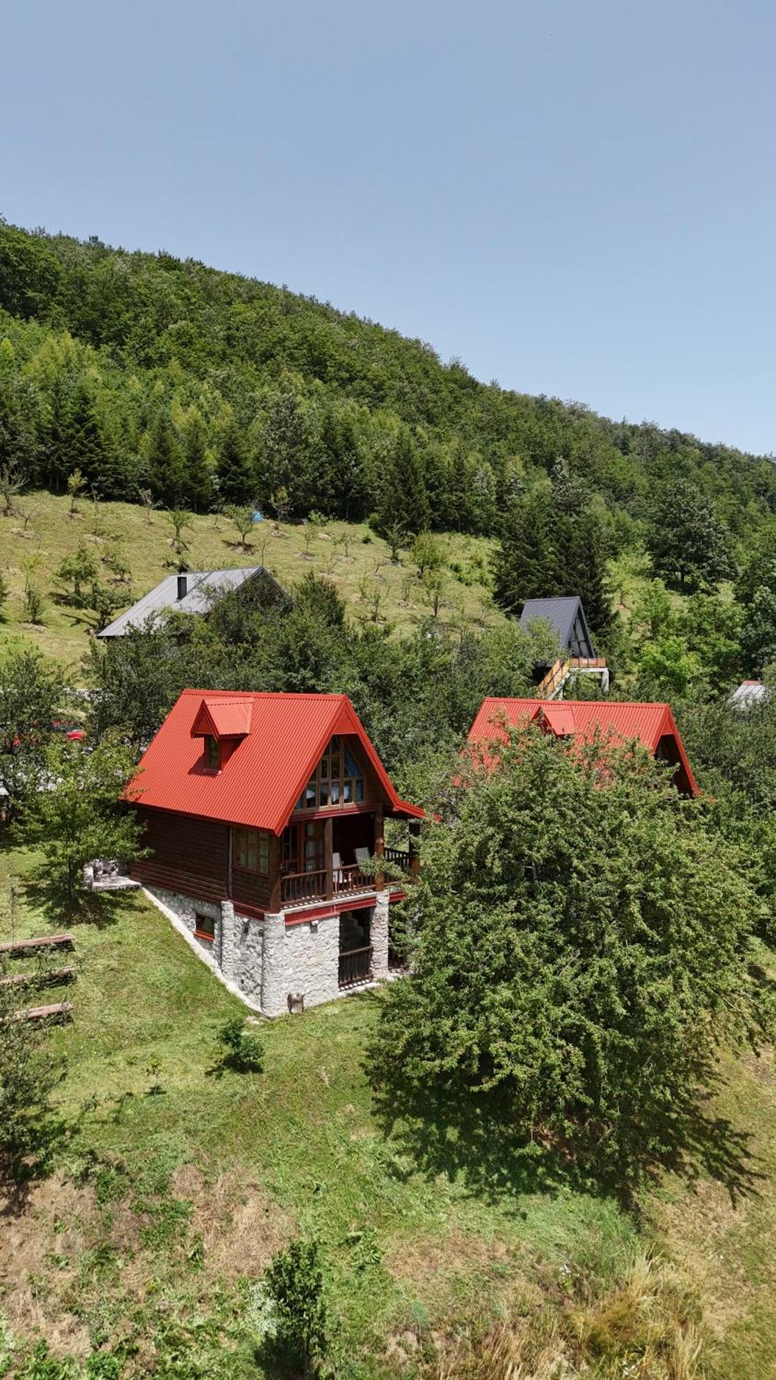 Fern Farm Eco Resort Mojkovac Exteriér fotografie