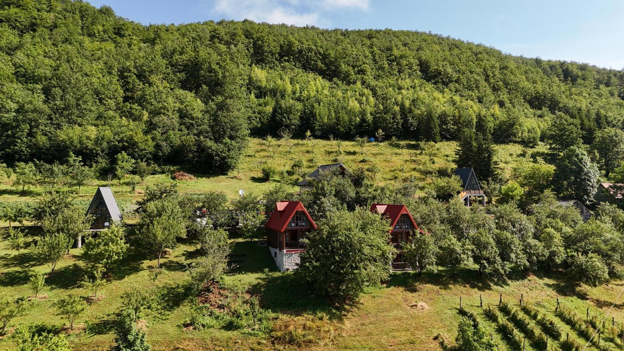 Fern Farm Eco Resort Mojkovac Exteriér fotografie